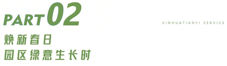 15.png