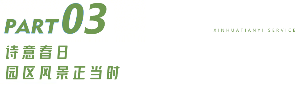 17.png